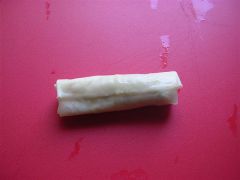 a finished neat spring roll